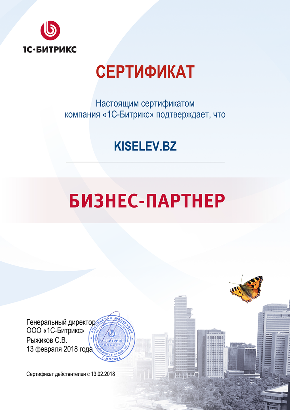 Сертификат партнёра по СРМ системам в Светогорске